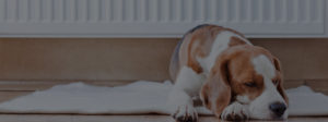 Boiler Repair Manchester - Boiler Repairs & Replacement